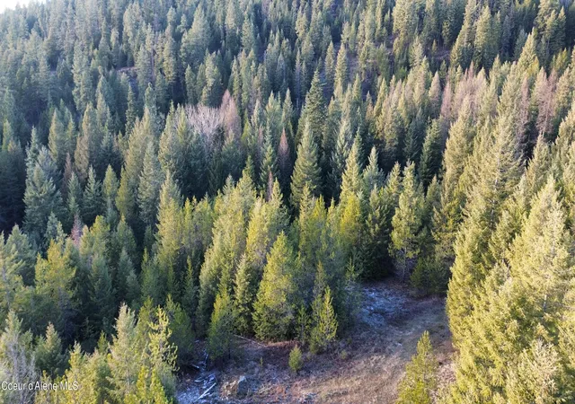 Photo 3 of Land for sale at L7 B1 Kelso Woods Dr, Athol, ID 83801 | MLS# 26-8063 | Listing updated on 2026-08-05