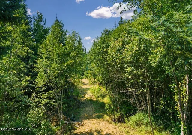 36th image of 104 Cat Rd, Priest River, ID 83856 | MLS# 26-7841