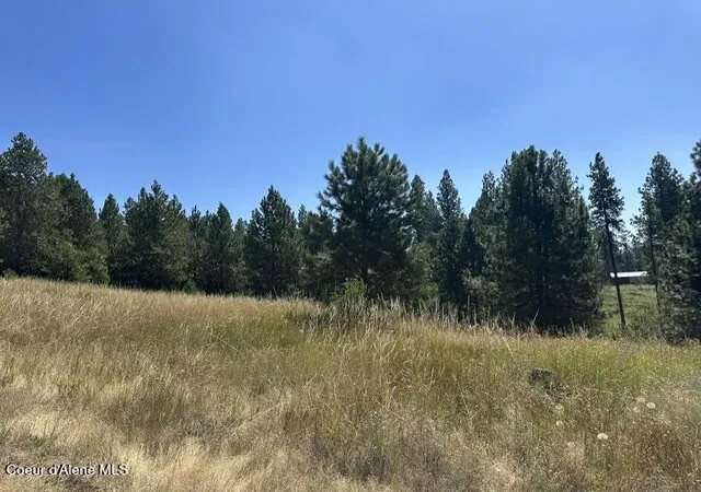 Photo 3 of Land for sale at Parcel A Hwy 95, Plummer, ID 83851 | MLS# 26-7891 | Listing updated on 2026-07-31