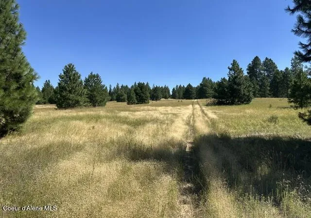 2nd image of Parcel B Hwy 95, Plummer, ID 83851 | MLS# 26-7897