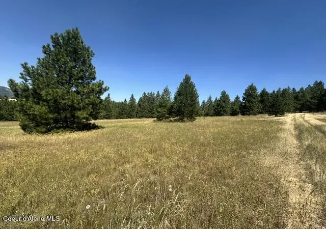 4th image of Parcel B Hwy 95, Plummer, ID 83851 | MLS# 26-7897