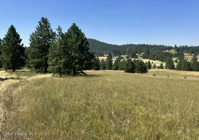 5th image of Parcel B Hwy 95, Plummer, ID 83851 | MLS# 26-7897