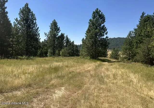 Photo 7 of Land for sale at Parcel B Hwy 95, Plummer, ID 83851 | MLS# 26-7897 | Listing updated on 2026-08-01