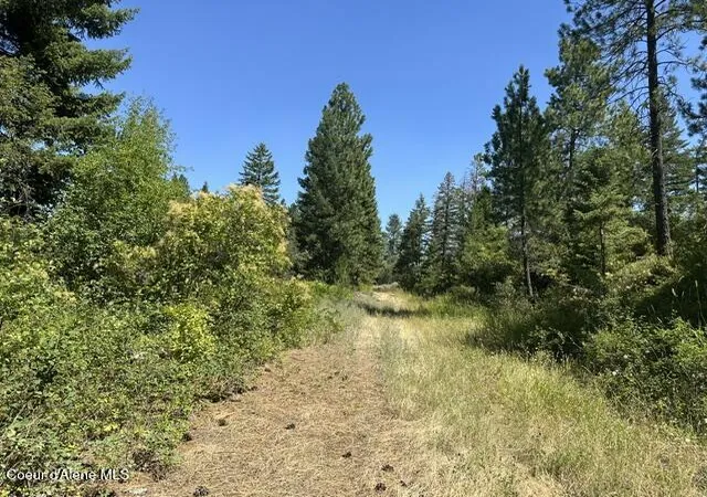 2nd image of Parcel C Hwy 95, Plummer, ID 83851 | MLS# 26-7903