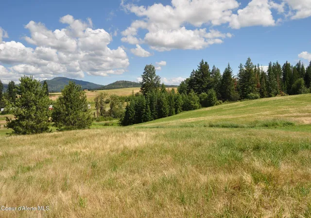 Photo 3 of Land for sale at Nna Highway 97, Saint Maries, ID 83861 | MLS# 26-8058 | Listing updated on 2026-09-09