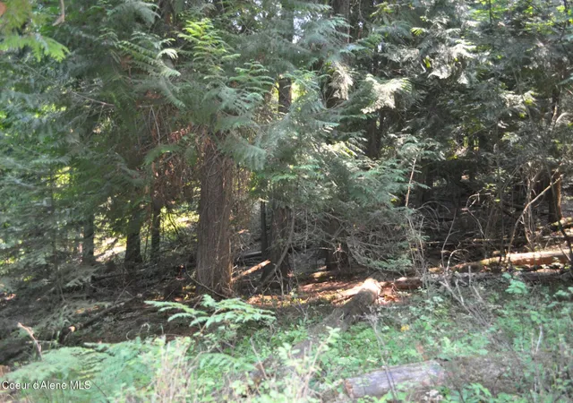 Photo 89 of Land for sale at Nna Highway 97, Saint Maries, ID 83861 | MLS# 26-8058 | Listing updated on 2026-09-09