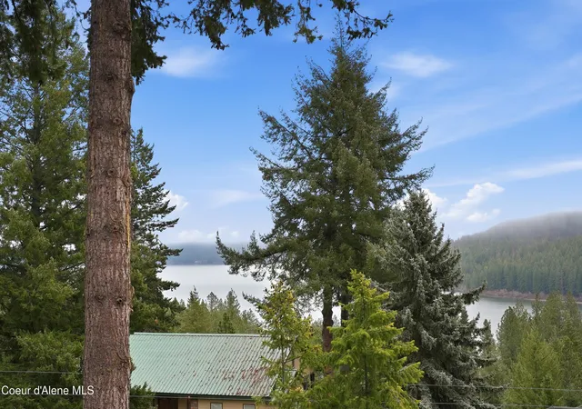 4th image of 21651 S Lakeview Dr, Worley, ID 83876 | MLS# 26-8036