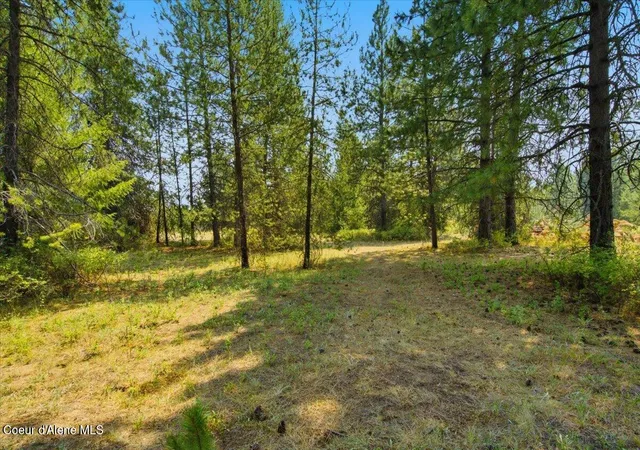 Photo 3 of Sale Pending at Nka W Lot 1 Nash Rd, Spirit Lake, ID 83869 | MLS# 26-8116 | Listing updated on 2026-08-19