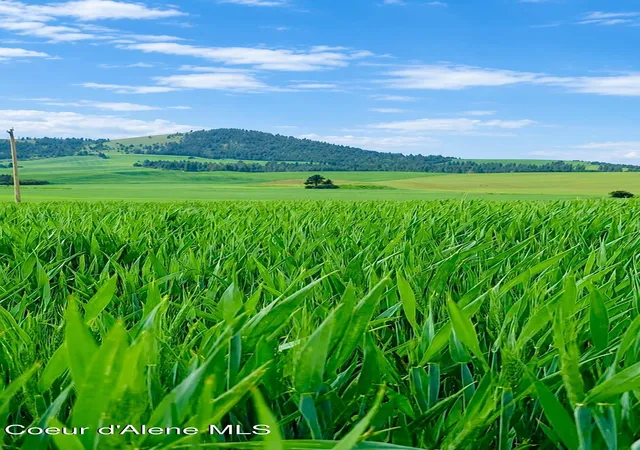 Photo 1 of Sale Pending at 10 Acres 783 Old Mills Rd, Desmet, ID 83824 | MLS# 26-8021 | Listing updated on 2026-08-28