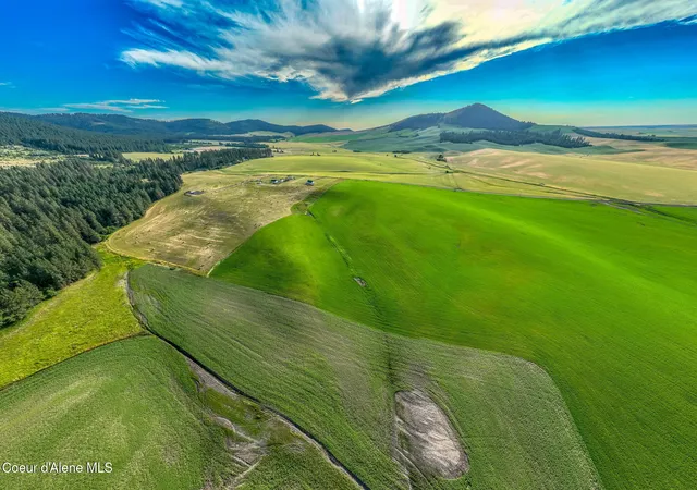 Photo 2 of Sale Pending at 10 Acres 783 Old Mills Rd, Desmet, ID 83824 | MLS# 26-8021 | Listing updated on 2026-08-28
