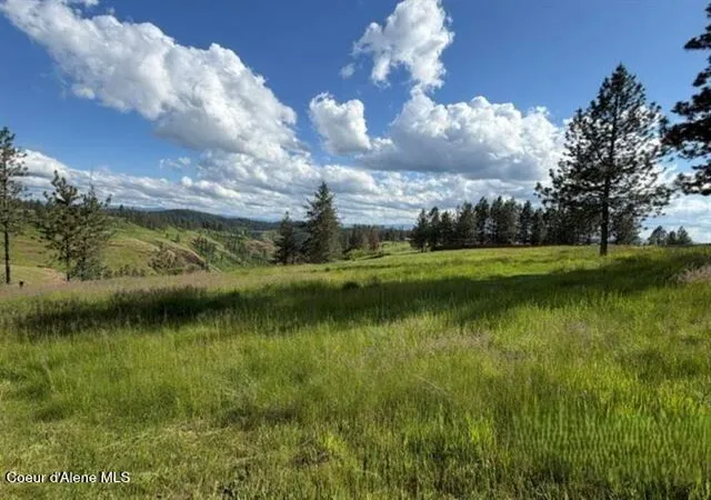 47th image of 119 Beaver Hill Rd, Kamiah, ID 83536 | MLS# 26-8035