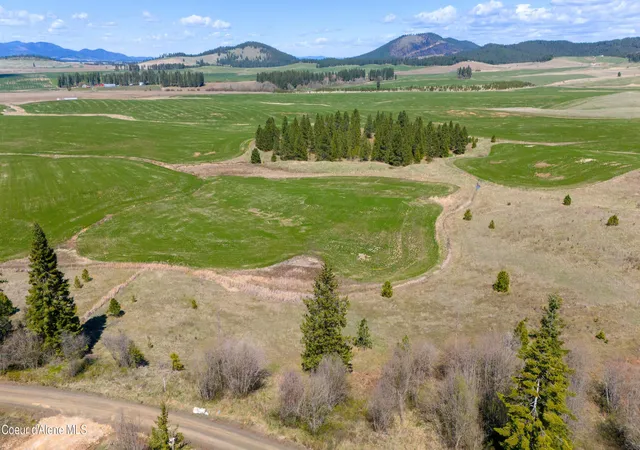 Photo 2 of Land for sale at Lot 3 Lone Moose Dr, Plummer, ID 83851 | MLS# 26-8054 | Listing updated on 2026-08-06
