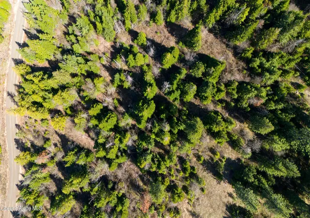 Photo 2 of Land for sale at Lot 9 Lone Moose Dr, Plummer, ID 83851 | MLS# 26-8057 | Listing updated on 2026-08-06