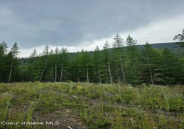 1st image of Nna Westside Rd Parcel10, Bonners Ferry, ID 83805 | MLS# 26-8086