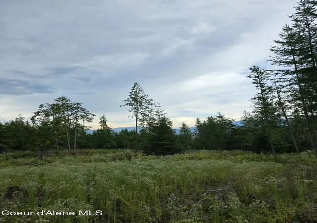 2nd image of Nna Westside Rd Parcel10, Bonners Ferry, ID 83805 | MLS# 26-8086