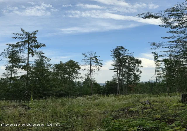 Photo 3 of Land for sale at Nna Westside Rd Parcel10, Bonners Ferry, ID 83805 | MLS# 26-8086 | Listing updated on 2026-08-06