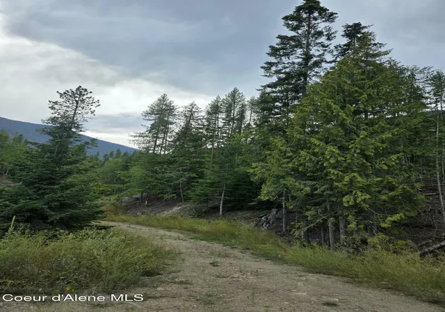 Photo 3 of Land for sale at Nna Westside Rd Parcel10, Bonners Ferry, ID 83805 | MLS# 26-8086 | Listing updated on 2026-08-06