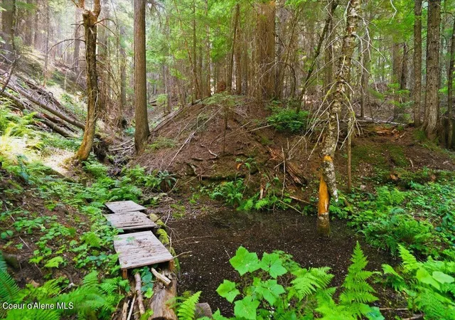 Photo 3 of Land for sale at Nka 40 Ac Usfs 610 Rd, Hayden, ID 83835 | MLS# 26-8093 | Listing updated on 2026-08-06