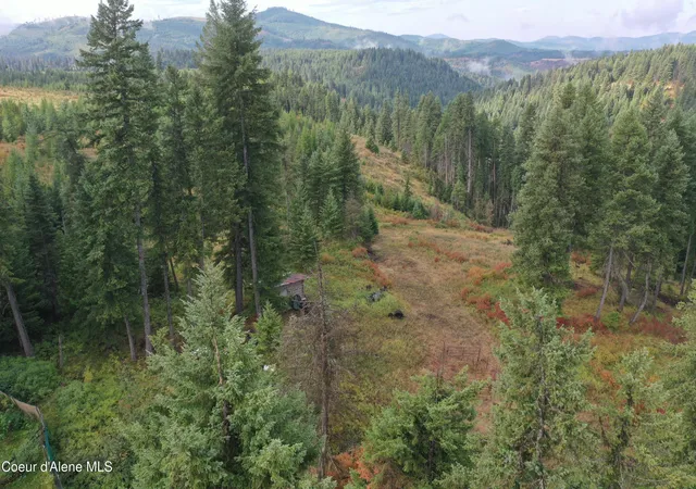 4th image of Parcel 5100 Hallmark Rd, Saint Maries, ID 83861 | MLS# 26-8100