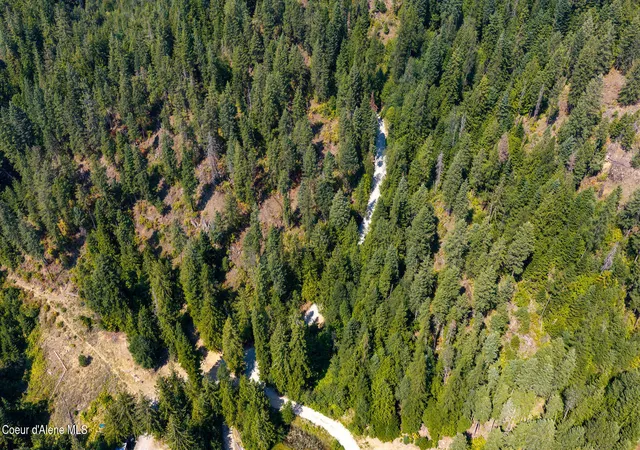 Photo 3 of Land for sale at Nka Tract C Collins Rd, Athol, ID 83801 | MLS# 26-8388 | Listing updated on 2026-09-26