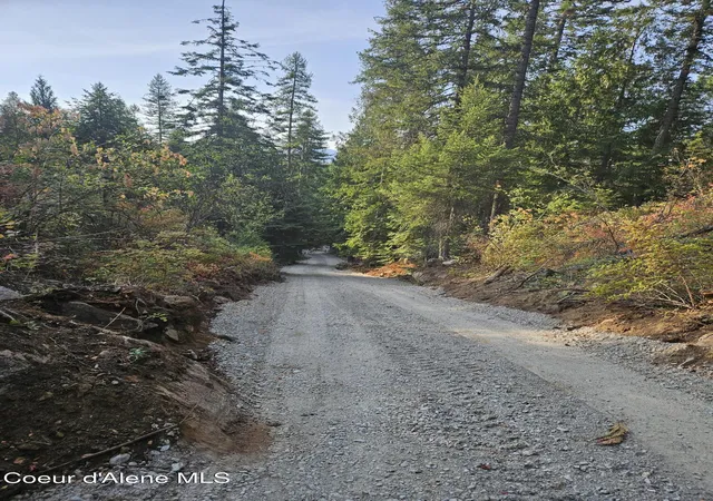 Photo 4 of Land for sale at Nka Tract C Collins Rd, Athol, ID 83801 | MLS# 26-8388 | Listing updated on 2026-09-26