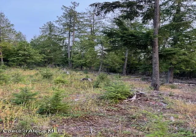 Photo 4 of Land for sale at Pipsissewa Pl, Sagle, ID 83860 | MLS# 26-8161 | Listing updated on 2026-09-02