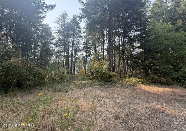 Photo 2 of Sale Pending at 400 Riverview Rdg, Sandpoint, ID 83864 | MLS# 26-8141 | Listing updated on 2026-08-07