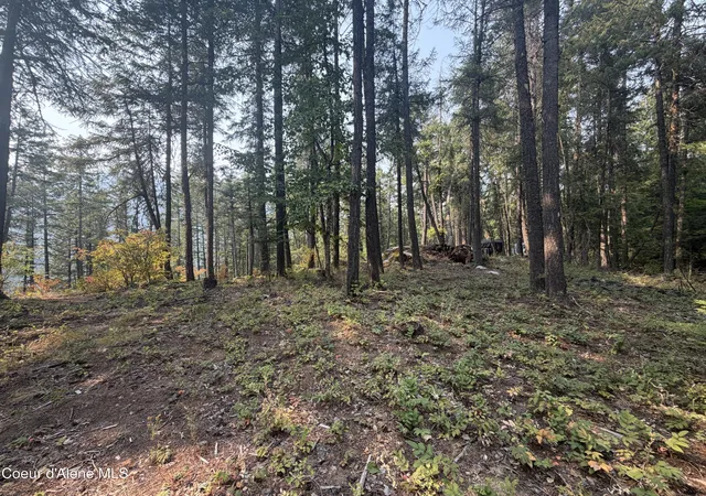 Photo 3 of Sale Pending at 400 Riverview Rdg, Sandpoint, ID 83864 | MLS# 26-8141 | Listing updated on 2026-08-07