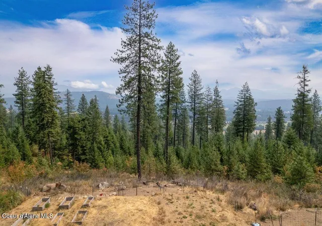 Photo 3 of Single family home for sale at 1802 Barnhart Rd, Careywood, ID 83809 | MLS# 26-8249 | Listing updated on 2026-09-15