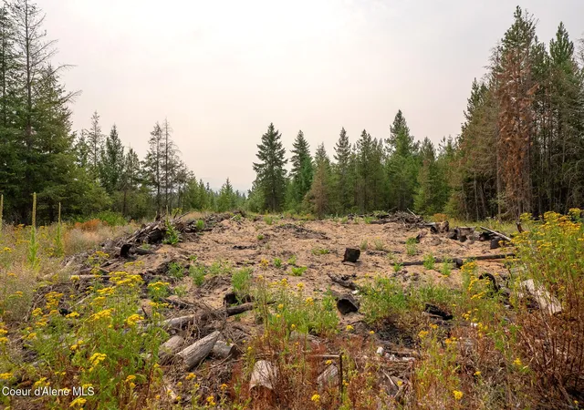 5th image of Nka Sandy Ridge Road, Naples, ID 83847 | MLS# 26-8259