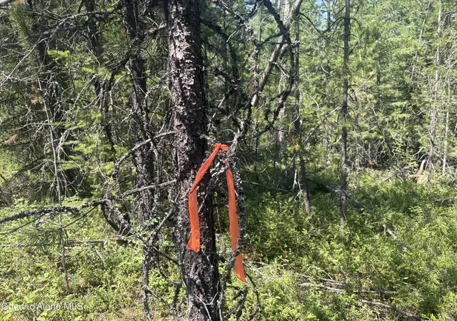 Photo 4 of Land for sale at L6b130 W Vermont St, Spirit Lake, ID 83869 | MLS# 26-8234 | Listing updated on 2026-08-14