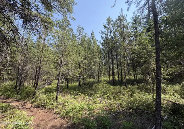 Photo 1 of Land for sale at L4b131 W Vermont St, Spirit Lake, ID 83869 | MLS# 26-8236 | Listing updated on 2026-08-11