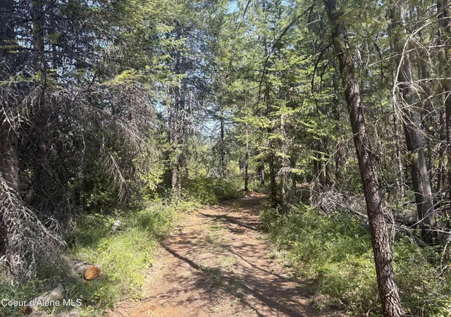 Photo 2 of Land for sale at L4b131 W Vermont St, Spirit Lake, ID 83869 | MLS# 26-8236 | Listing updated on 2026-08-11