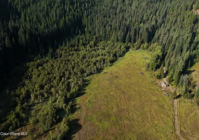 Photo 3 of Land for sale at 318 Coyote Trl, Priest River, ID 83856 | MLS# 26-8318 | Listing updated on 2026-08-14