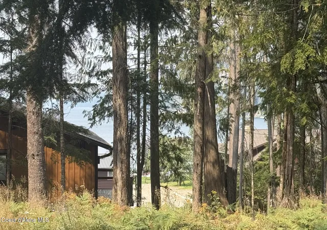 21st image of 3882 Cavanaugh Bay Rd, Coolin, ID 83821 | MLS# 26-8276