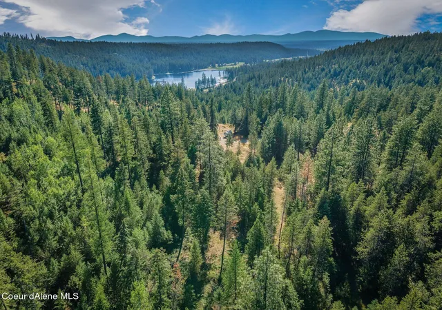 15th image of L1 Smokewood Dr, Athol, ID 83801 | MLS# 26-8427