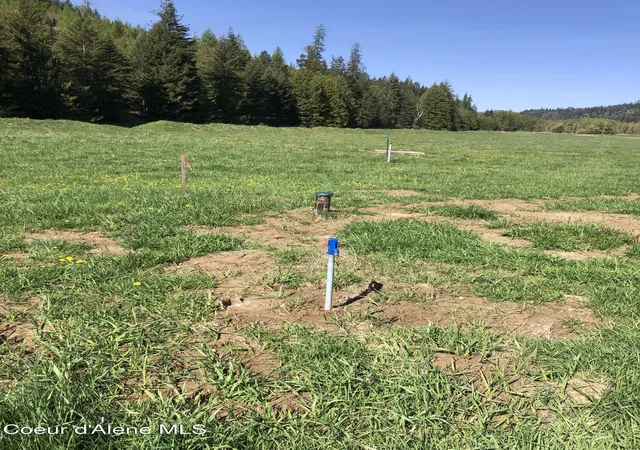 Photo 4 of Land for sale at L19 Horn Hooked Ests, Saint Maries, ID 83861 | MLS# 26-8523 | Listing updated on 2026-08-18