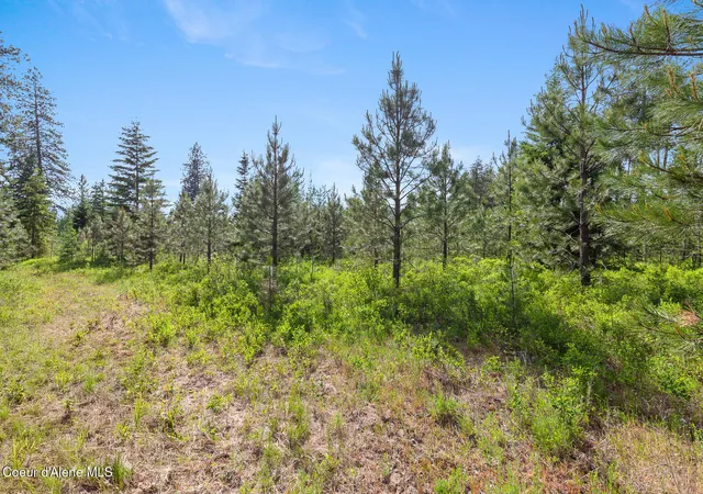 Photo 3 of Land for sale at Nka W Camrose Ln, Rathdrum, ID 83858 | MLS# 26-8337 | Listing updated on 2026-09-11