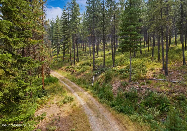 Photo 3 of Land for sale at Nka Kelly Gulch Rd, Pinehurst, ID 83850 | MLS# 26-8359 | Listing updated on 2026-09-06