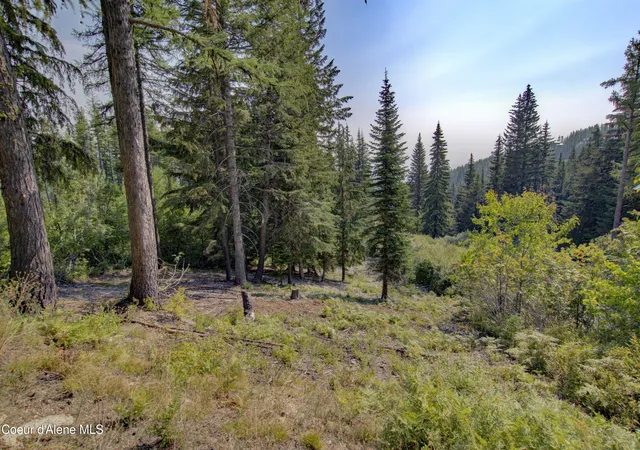 1st image of Blk4 Lot4 Ullr Dr, Sandpoint, ID 83864 | MLS# 26-8538