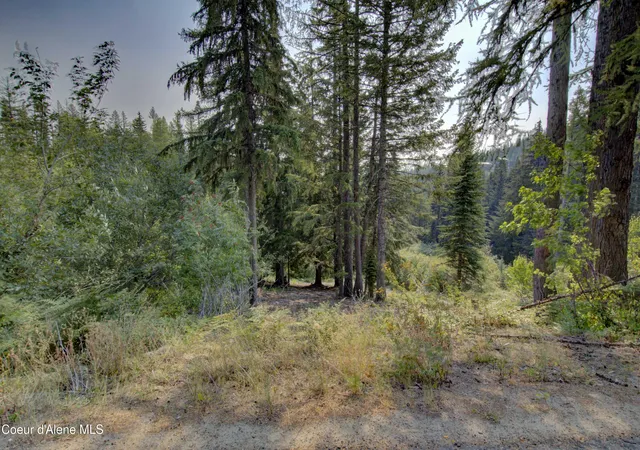 2nd image of Blk4 Lot4 Ullr Dr, Sandpoint, ID 83864 | MLS# 26-8538