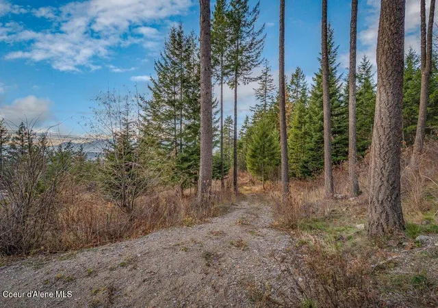 Photo 3 of Land for sale at Nna E25 Wildridge Way, Sandpoint, ID 83864 | MLS# 26-8391 | Listing updated on 2026-08-14