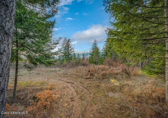Photo 3 of Land for sale at Nna E25 Wildridge Way, Sandpoint, ID 83864 | MLS# 26-8391 | Listing updated on 2026-08-14