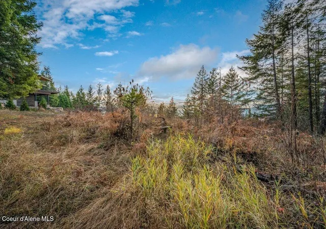 Photo 4 of Land for sale at Nna E25 Wildridge Way, Sandpoint, ID 83864 | MLS# 26-8391 | Listing updated on 2026-08-14