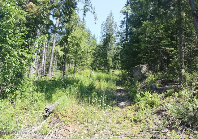 2nd image of 2110 Mushroom Kingdom Trl, Sandpoint, ID 83864 | MLS# 26-8392