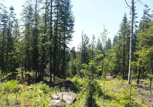 Photo 3 of Land for sale at 2110 Mushroom Kingdom Trl, Sandpoint, ID 83864 | MLS# 26-8392 | Listing updated on 2026-08-18
