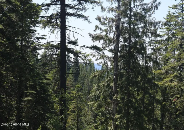 Photo 3 of Land for sale at 2110 Mushroom Kingdom Trl, Sandpoint, ID 83864 | MLS# 26-8392 | Listing updated on 2026-08-18