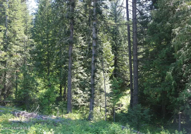 Photo 4 of Land for sale at 2110 Mushroom Kingdom Trl, Sandpoint, ID 83864 | MLS# 26-8392 | Listing updated on 2026-08-18