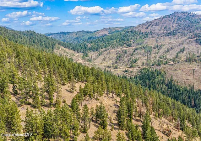 3rd image of Nka S Idaho Rd, Post Falls, ID 83854 | MLS# 26-8568