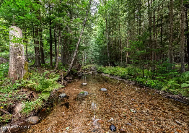 24th image of 185 Carr Creek Rd, Sandpoint, ID 83864 | MLS# 26-8505